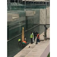 IMG-20180302-WA0005